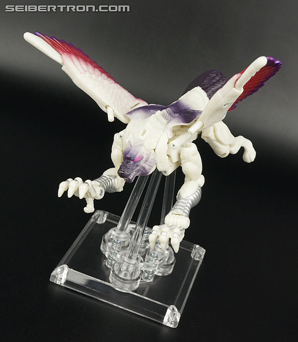 Transformers BotCon Exclusives Windrazor (Image #59 of 137)