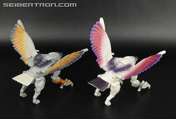 Transformers BotCon Exclusives Windrazor (Image #63 of 137)