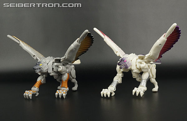 Transformers BotCon Exclusives Windrazor (Image #66 of 137)