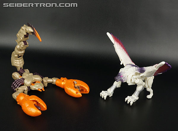 Transformers BotCon Exclusives Windrazor (Image #73 of 137)