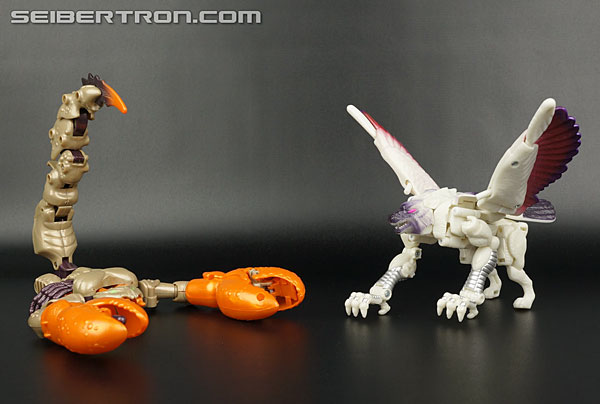 Transformers BotCon Exclusives Windrazor (Image #74 of 137)