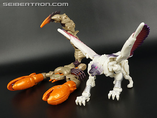 Transformers BotCon Exclusives Windrazor (Image #75 of 137)