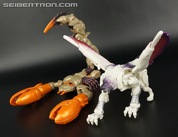 Transformers BotCon Exclusives Windrazor (Image #76 of 137)
