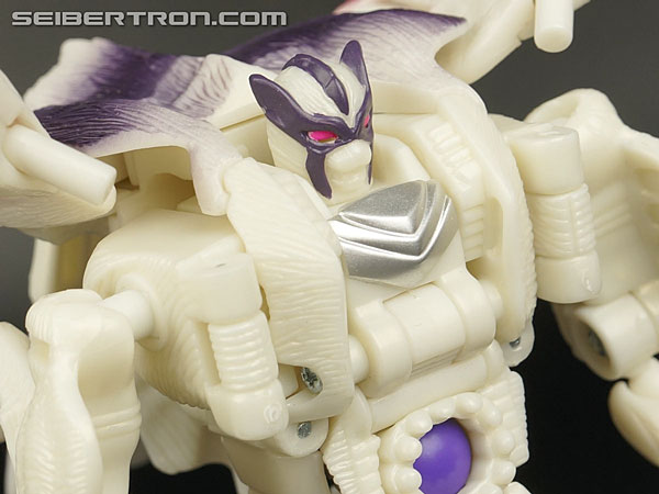 Transformers BotCon Exclusives Windrazor (Image #84 of 137)