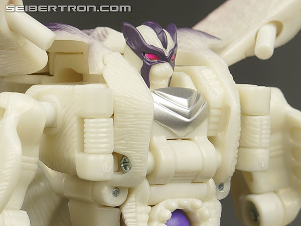 Transformers BotCon Exclusives Windrazor (Image #86 of 137)