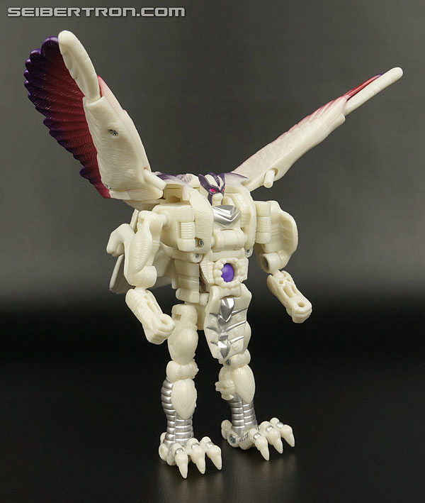 Transformers BotCon Exclusives Windrazor (Image #87 of 137)