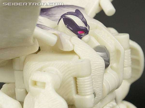 Transformers BotCon Exclusives Windrazor (Image #91 of 137)