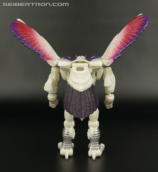 Transformers BotCon Exclusives Windrazor (Image #93 of 137)