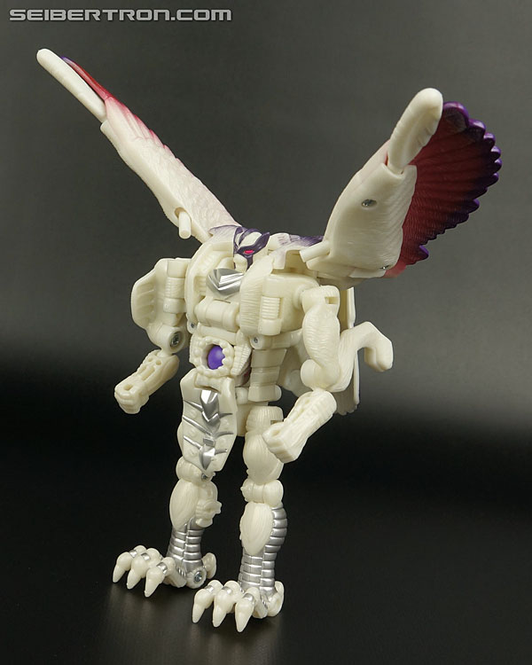 Transformers BotCon Exclusives Windrazor (Image #96 of 137)