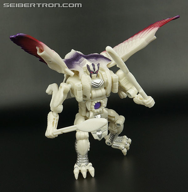 Transformers BotCon Exclusives Windrazor (Image #110 of 137)
