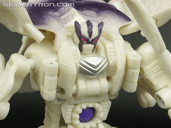 Transformers BotCon Exclusives Windrazor (Image #112 of 137)