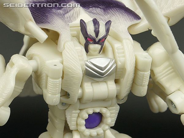 Transformers BotCon Exclusives Windrazor (Image #113 of 137)