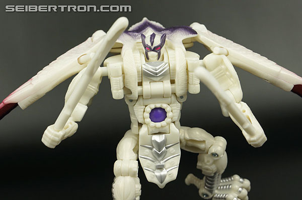 Transformers BotCon Exclusives Windrazor (Image #115 of 137)