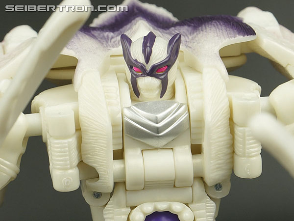 Transformers BotCon Exclusives Windrazor (Image #116 of 137)