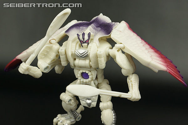 Transformers BotCon Exclusives Windrazor (Image #118 of 137)