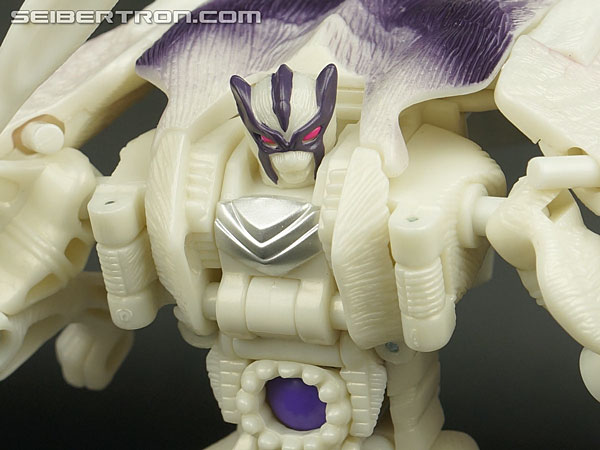 Transformers BotCon Exclusives Windrazor (Image #119 of 137)