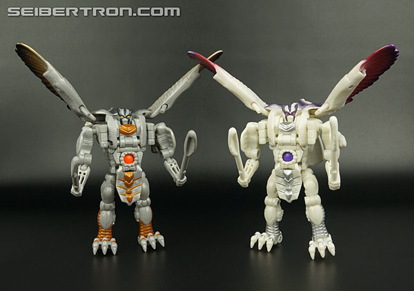 Transformers BotCon Exclusives Windrazor (Image #126 of 137)