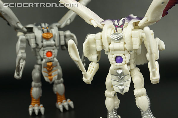 Transformers BotCon Exclusives Windrazor (Image #128 of 137)