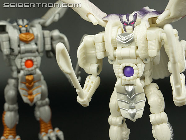 Transformers BotCon Exclusives Windrazor (Image #129 of 137)