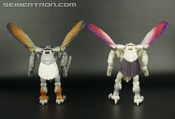 Transformers BotCon Exclusives Windrazor (Image #132 of 137)