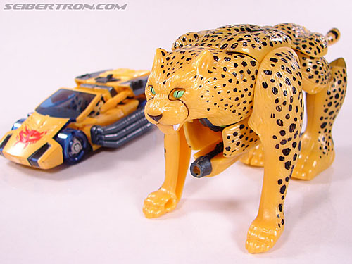 Transformers BotCon Exclusives Cheetor (Image #44 of 119)