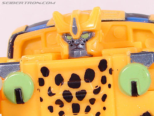 Transformers BotCon Exclusives Cheetor (Image #77 of 119)
