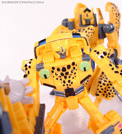 Transformers BotCon Exclusives Cheetor (Image #90 of 119)