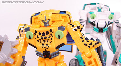 Transformers BotCon Exclusives Cheetor (Image #103 of 119)