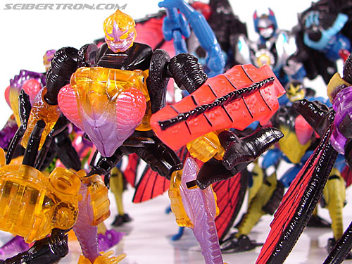 Transformers BotCon Exclusives Dirge (Image #87 of 95)