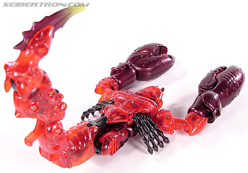 Transformers BotCon Exclusives Double Punch (Image #24 of 82)