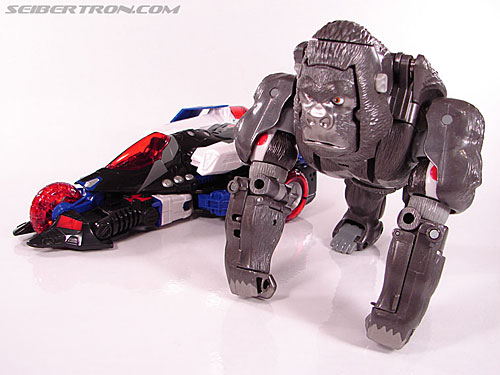 Transformers BotCon Exclusives Optimus Primal (Image #83 of 178)