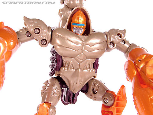 Transformers BotCon Exclusives Sandstorm (Image #69 of 99)