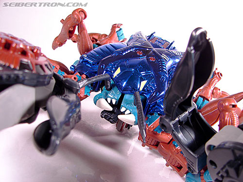Transformers BotCon Exclusives Shokaract (Image #49 of 147)