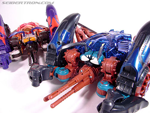 Transformers BotCon Exclusives Shokaract (Image #78 of 147)