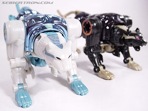 Transformers BotCon Exclusives Tigatron (Image #17 of 98)