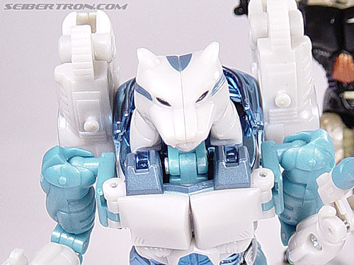 Transformers BotCon Exclusives Tigatron (Image #49 of 98)