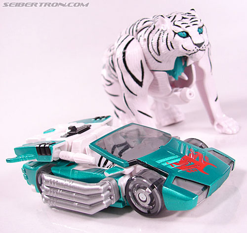 botcon tigatron