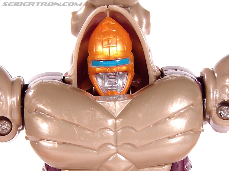 Transformers BotCon Exclusives Sandstorm (Image #66 of 99)