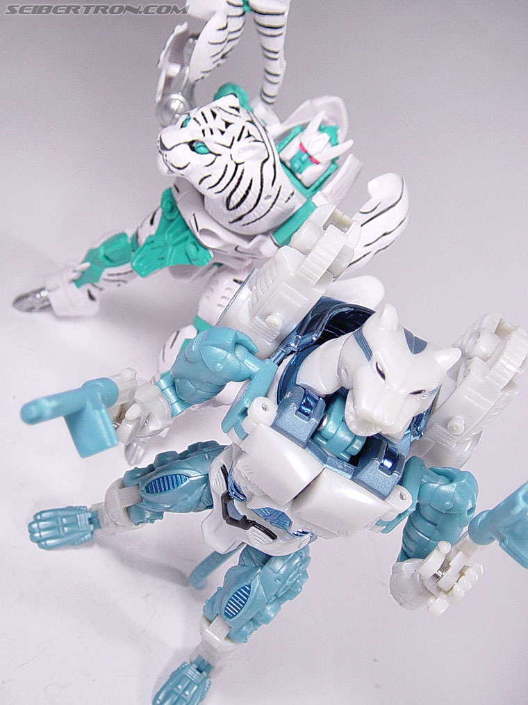Transformers BotCon Exclusives Tigatron (Image #63 of 98)