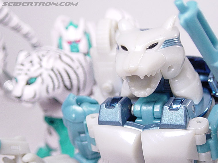 botcon tigatron