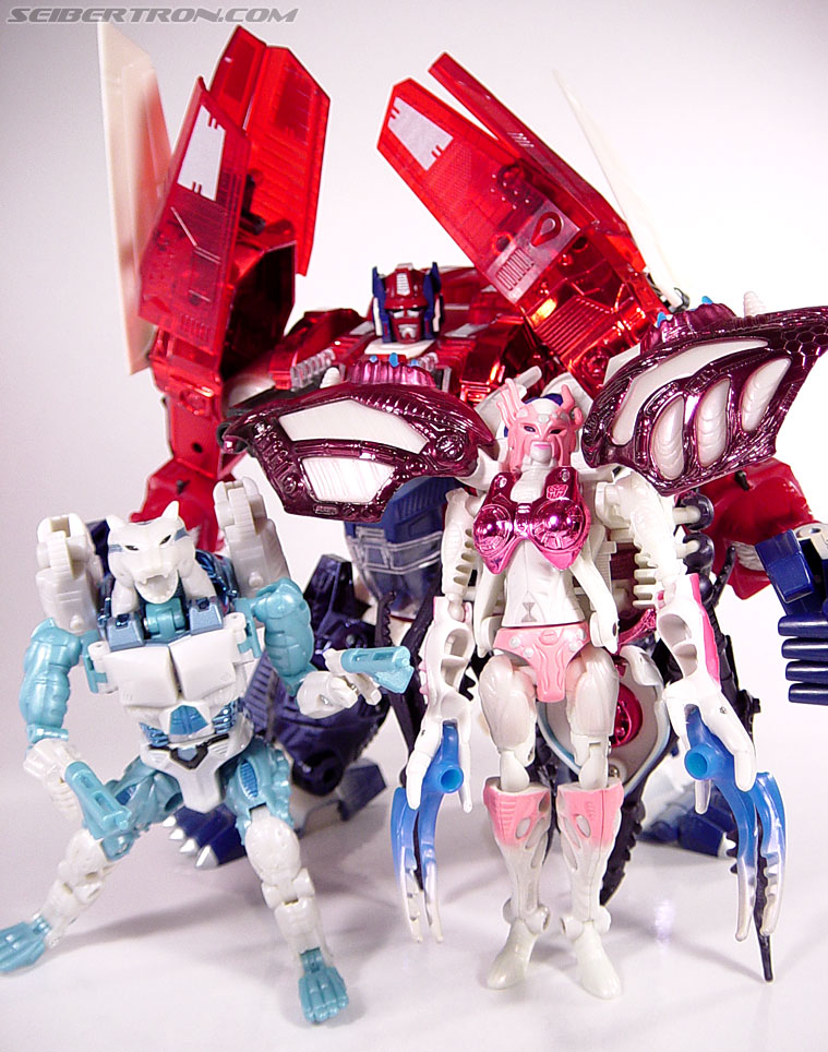 Transformers BotCon Exclusives Tigatron (Image #67 of 98)
