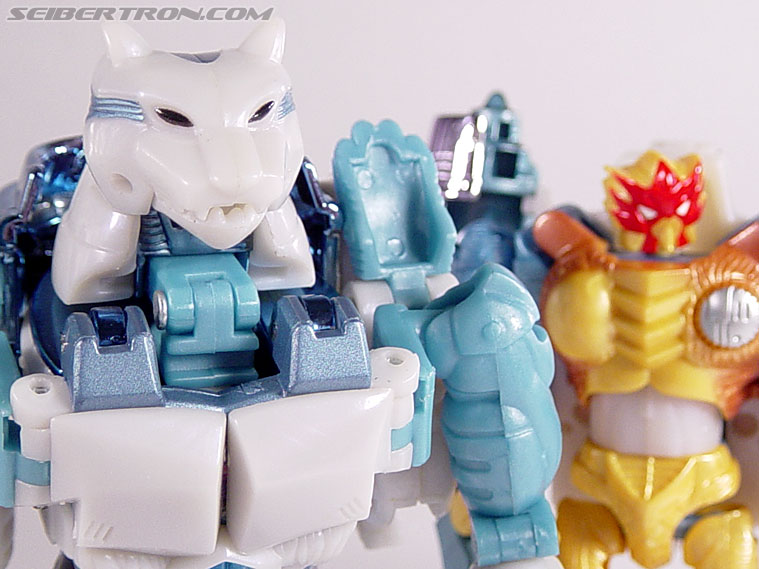 Transformers BotCon Exclusives Tigatron (Image #87 of 98)