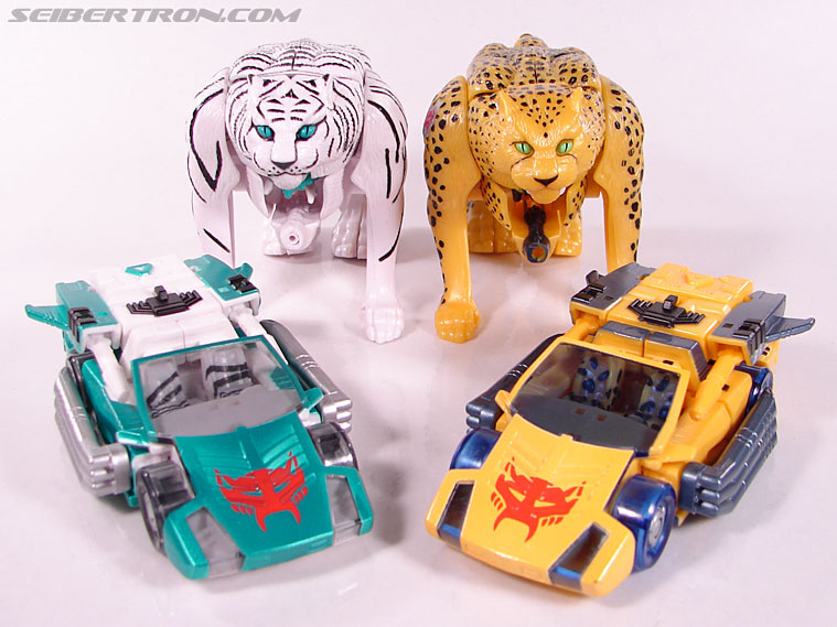 Transformers BotCon Exclusives Tigatron (Image #52 of 112)