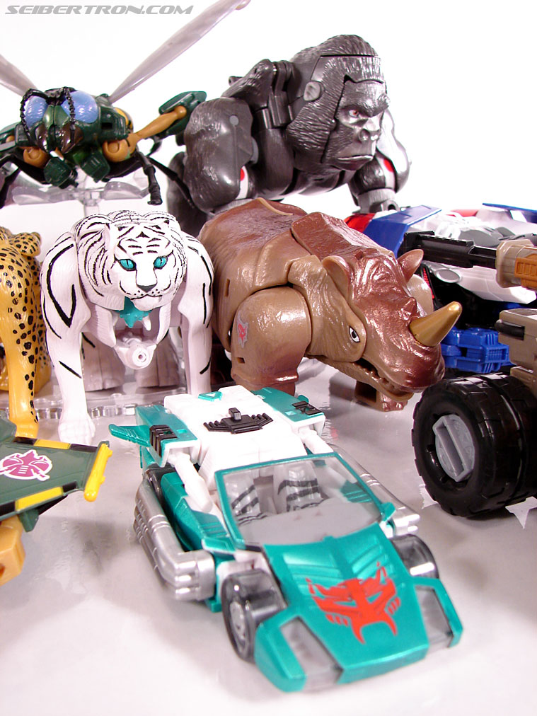 Transformers BotCon Exclusives Tigatron (Image #54 of 112)
