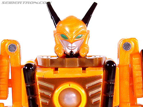 Transformers Club Exclusives Airazor (Chromia 10 Pilot) (Image #72 of 132)