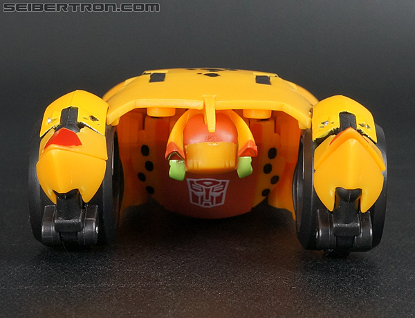 Transformers Club Exclusives Cheetor (Image #33 of 141)