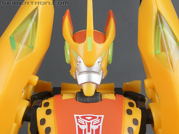 Transformers Club Exclusives Cheetor (Image #59 of 141)