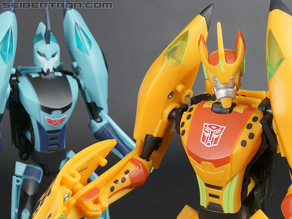 Transformers Club Exclusives Cheetor (Image #122 of 141)