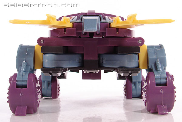Transformers Club Exclusives Snaptrap (Image #16 of 105)