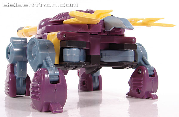 Transformers Club Exclusives Snaptrap (Image #17 of 105)